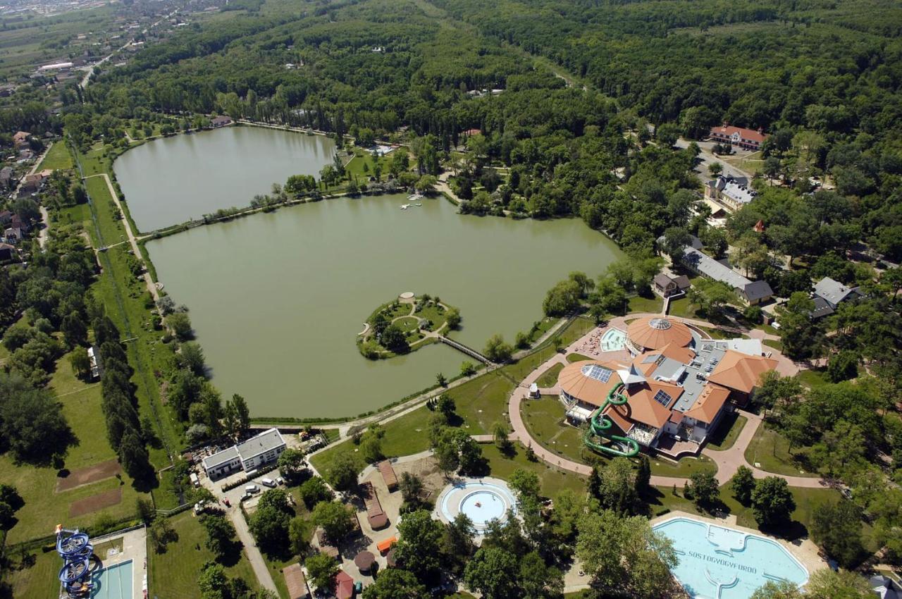 Staff House Bed & Breakfast Mestecǎneşti Exterior foto