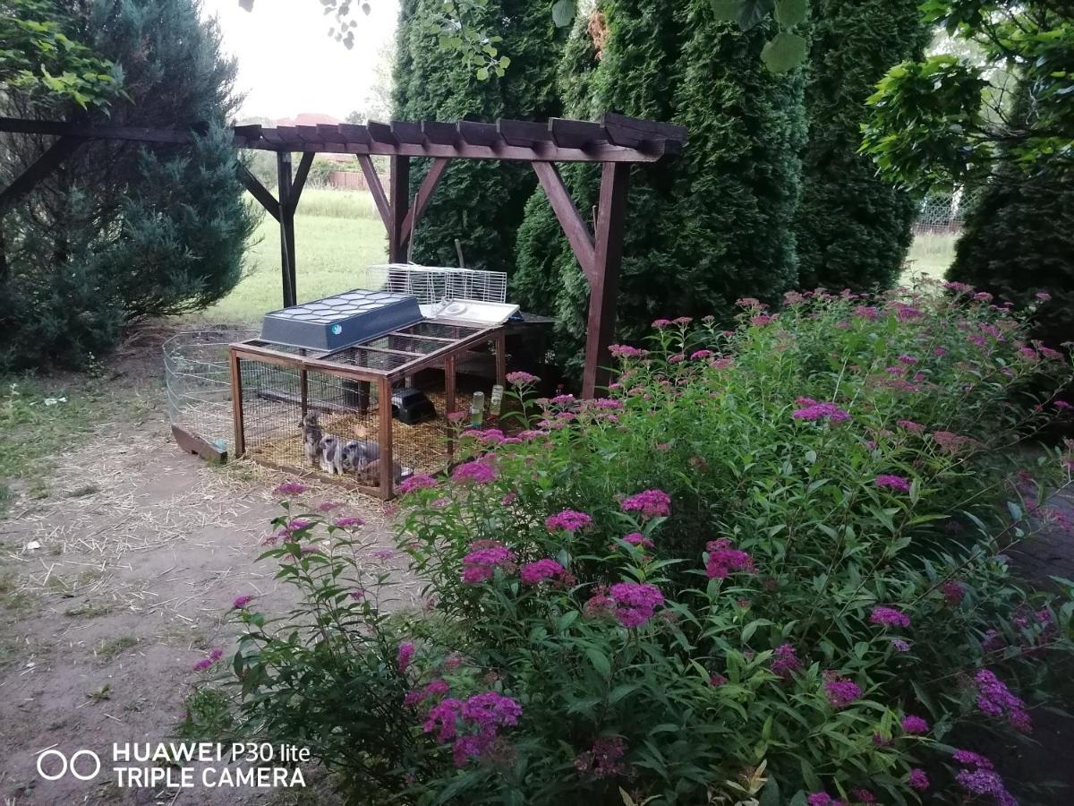 Staff House Bed & Breakfast Mestecǎneşti Exterior foto